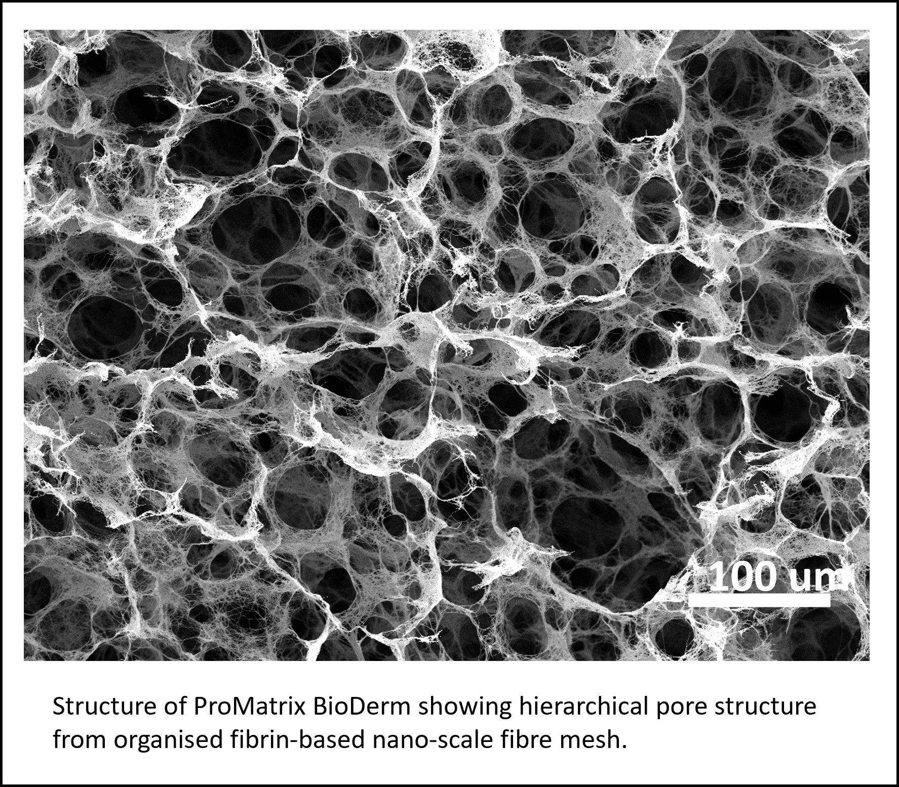 Oxartis Ltd photo 3