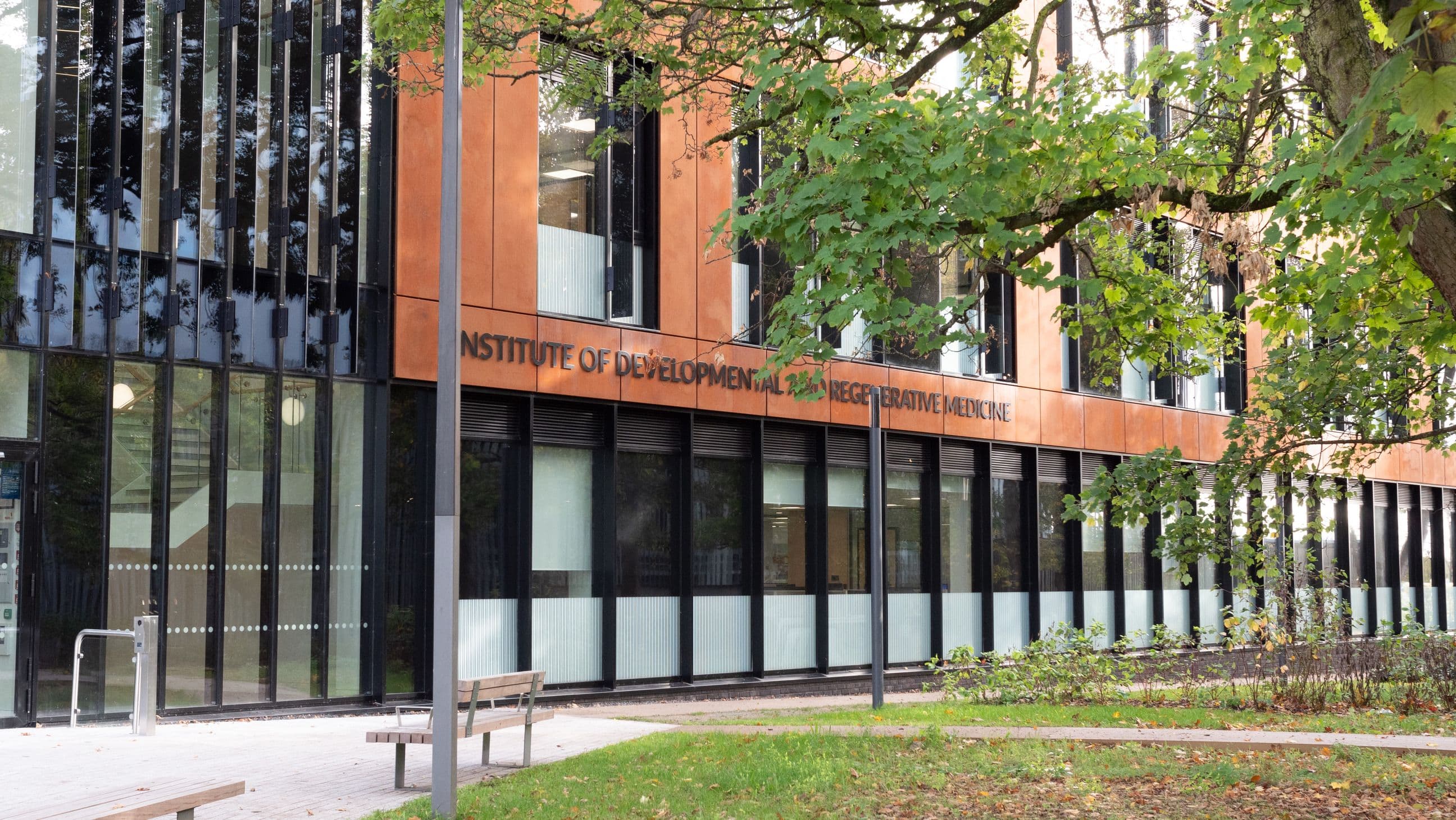 Institute of Developmental and Regenerative Medicine photo 2